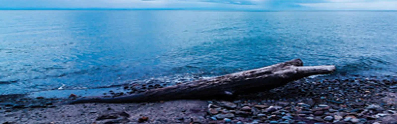 a shoreline with lake 