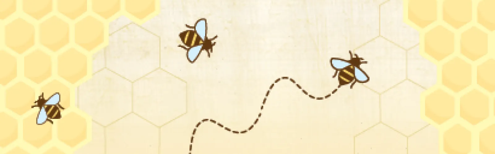 bees flying around