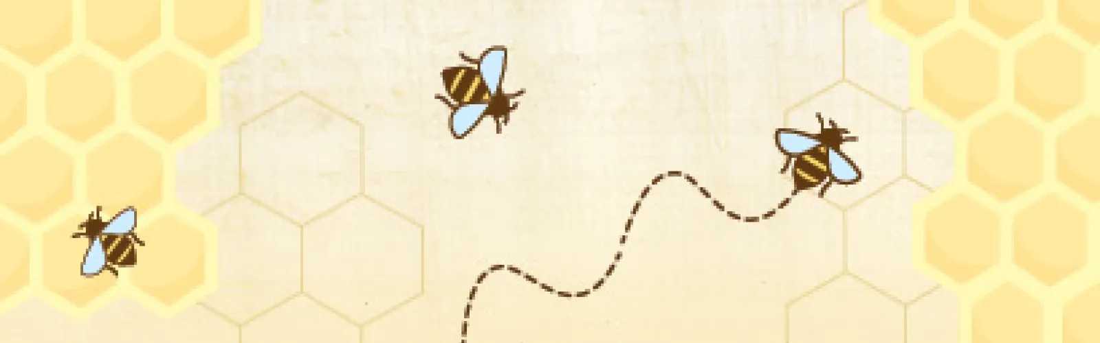 bees!