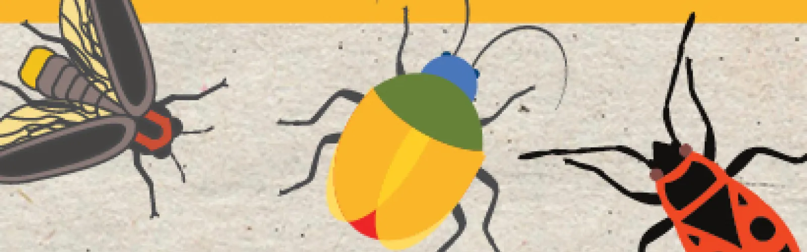 bugs