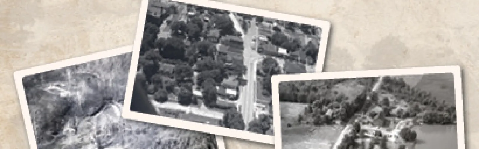 pictures shown on a table