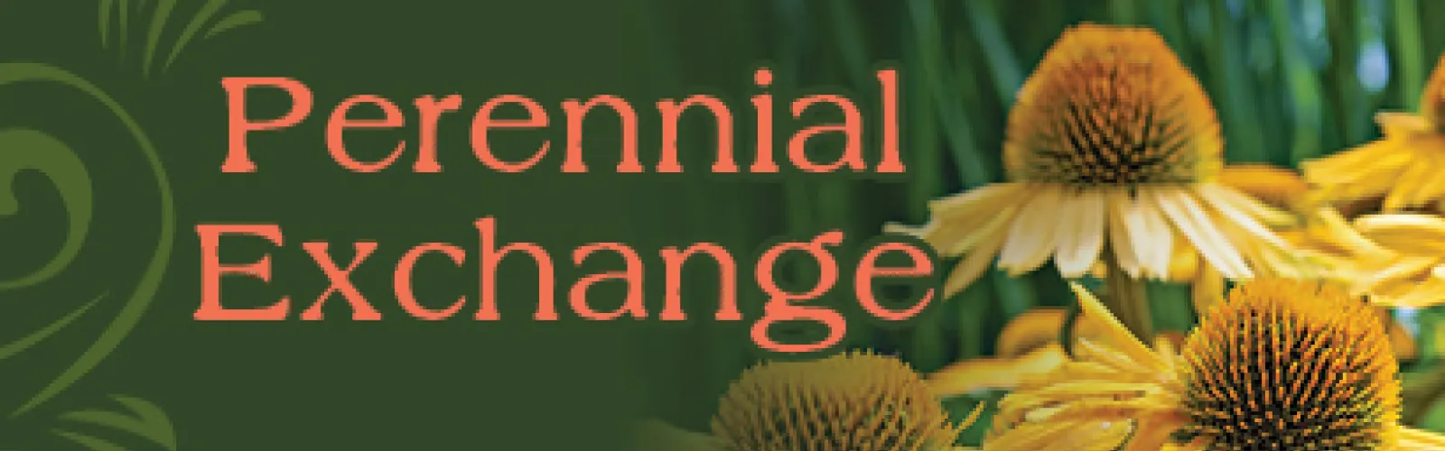 Perennial Exchange